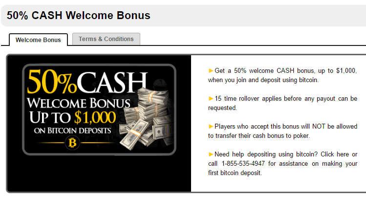 Sports Betting At Bookmaker Casino